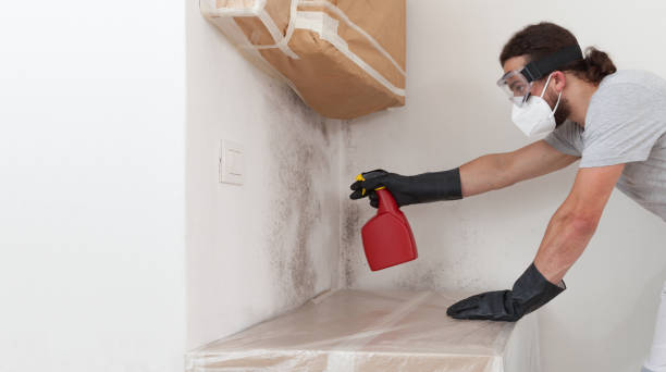 Professional Crawl Space Mold Remediation technician working in Warren, IL