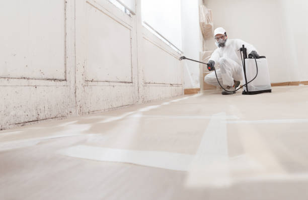 24/7 Emergency Crawl Space Mold Remediation experts in Warren, IL